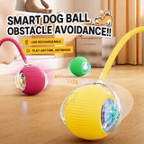 Automatic Jumping Dog Ball
