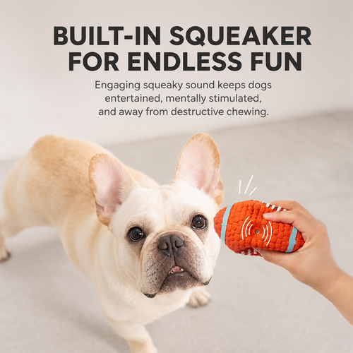 Pawket Sports Ball — Squeaky Dog Toy