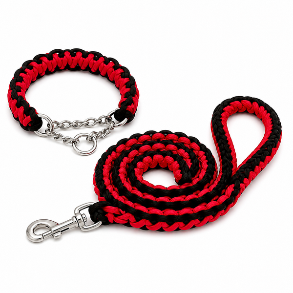 Heavy-Duty Braided Dog Leash & Half-Check Collar Set