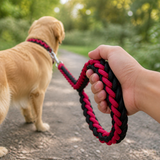 Comfortable loop handle on thick braided dog leash
