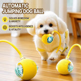 Automatic jumping dog ball yellow