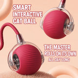 Interactive cat and dog ball pink