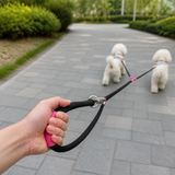 Comfortable one-handed control of two dogs with loop handle