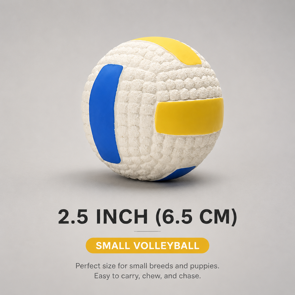 Pawket Sports Ball — Squeaky Dog Toy